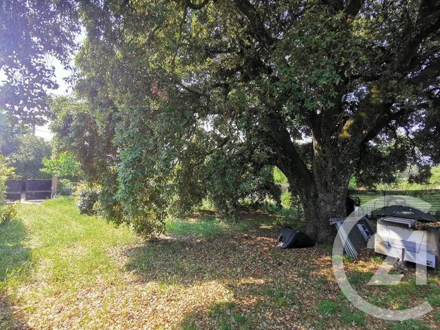 Afficher la photo en grand maison à vendre - 14 pièces - 325.0 m2 - ST MAXIMIN LA STE BAUME - 83 - PROVENCE-ALPES-COTE-D-AZUR - Century 21 Agence Millénium