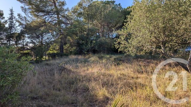 terrain à vendre - 1314.0 m2 - LE VAL - 83 - PROVENCE-ALPES-COTE-D-AZUR - Century 21 Agence Millénium