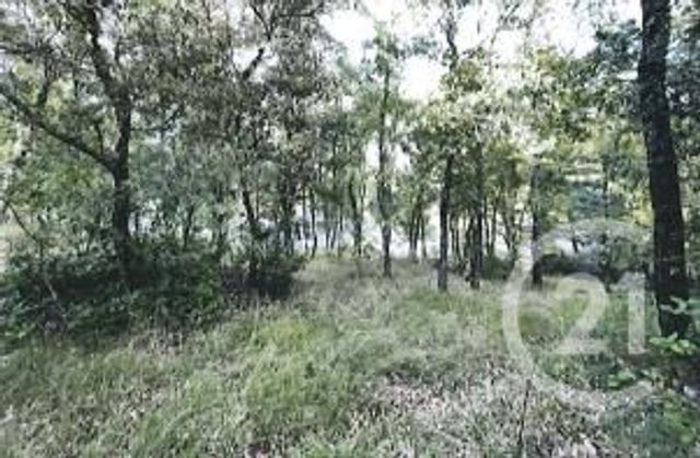 terrain à vendre - 1128.0 m2 - ST MAXIMIN LA STE BAUME - 83 - PROVENCE-ALPES-COTE-D-AZUR - Century 21 Agence Millénium