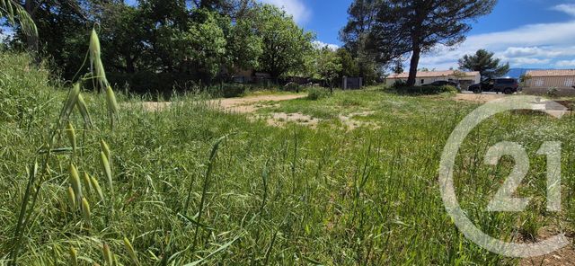 terrain - ST MAXIMIN LA STE BAUME - 83