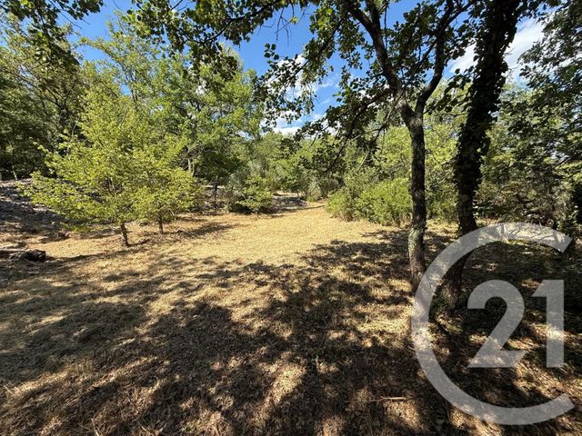 terrain - ST MAXIMIN LA STE BAUME - 83