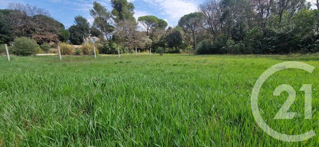 terrain à vendre - 3100.0 m2 - ST MAXIMIN LA STE BAUME - 83 - PROVENCE-ALPES-COTE-D-AZUR - Century 21 Agence Millénium