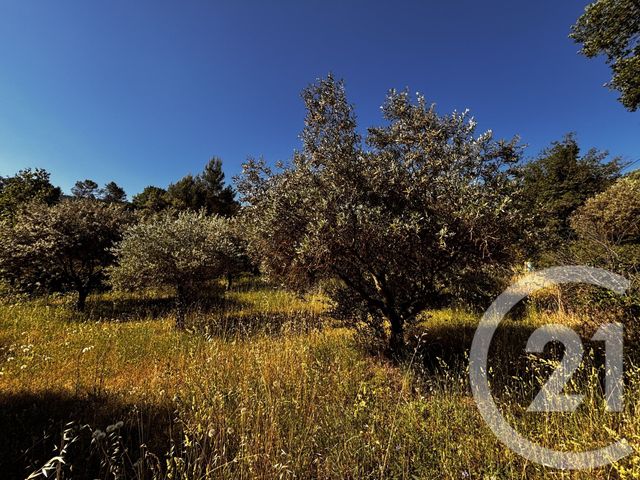 maison à vendre - 4 pièces - 125.0 m2 - TOURVES - 83 - PROVENCE-ALPES-COTE-D-AZUR - Century 21 Agence Millénium