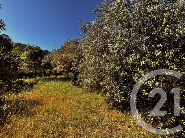 maison à vendre - 4 pièces - 125.0 m2 - TOURVES - 83 - PROVENCE-ALPES-COTE-D-AZUR - Century 21 Agence Millénium