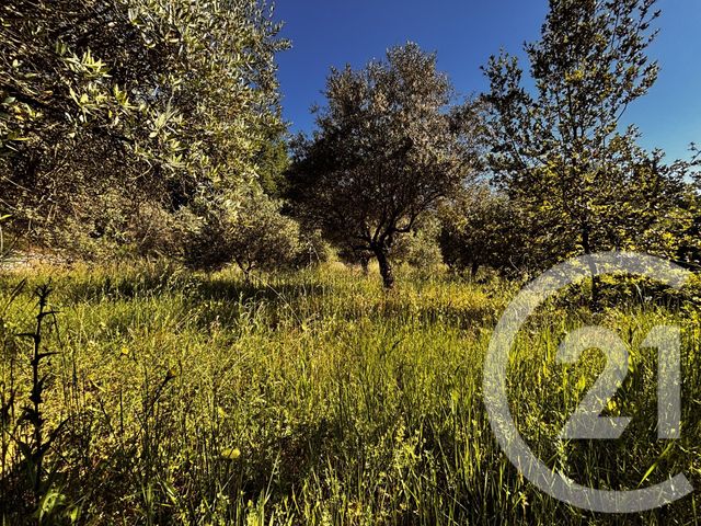 maison à vendre - 4 pièces - 125.0 m2 - TOURVES - 83 - PROVENCE-ALPES-COTE-D-AZUR - Century 21 Agence Millénium