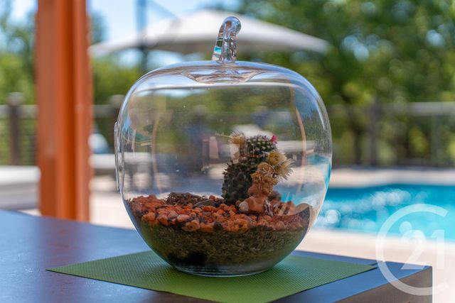 maison à vendre - 5 pièces - 231.0 m2 - ST MAXIMIN LA STE BAUME - 83 - PROVENCE-ALPES-COTE-D-AZUR - Century 21 Agence Millénium