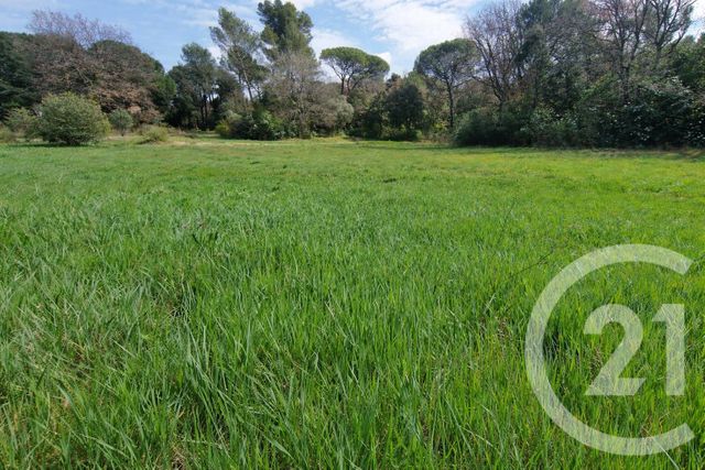 terrain à vendre - 3100.0 m2 - ST MAXIMIN LA STE BAUME - 83 - PROVENCE-ALPES-COTE-D-AZUR - Century 21 Agence Millénium